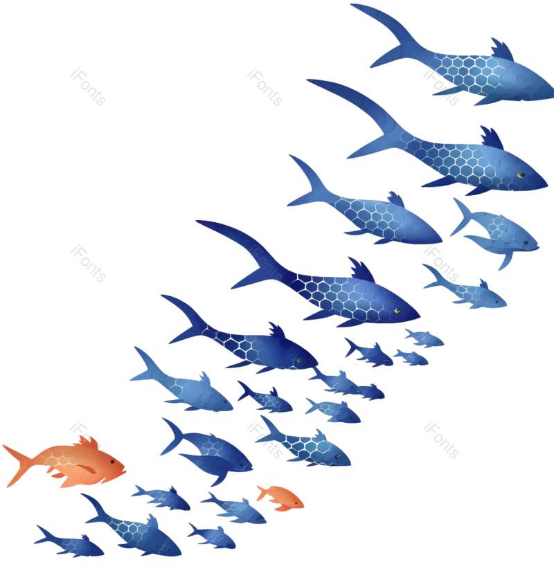 插画图片,海洋元素,动物PNG,矢量免抠素材